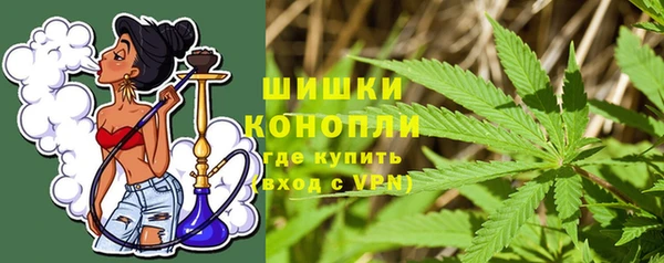 гашик Белокуриха
